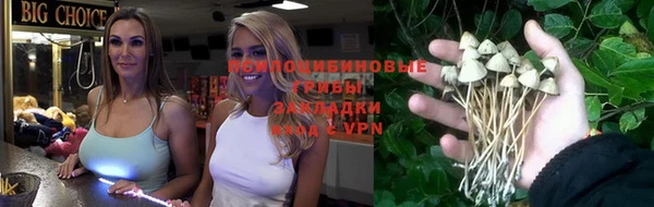 эйфоретик Алексеевка