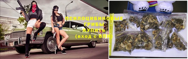 индика Снежногорск