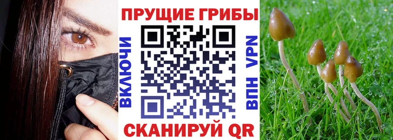 Псилоцибиновые грибы ЛСД  Карабаш 